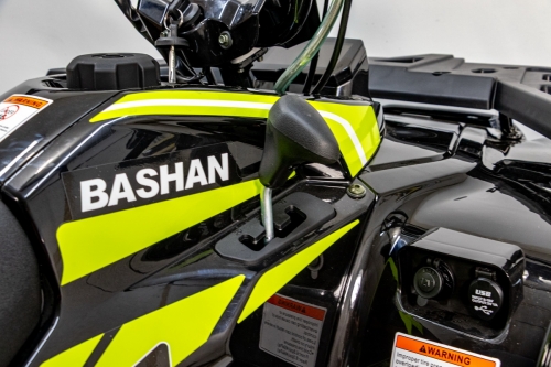 Bashan 250 AU-13 T3b quad