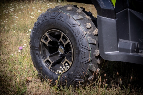 Bashan 250 AU-13 T3b quad