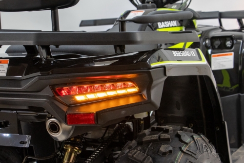 Bashan 250 AU-13 T3b quad